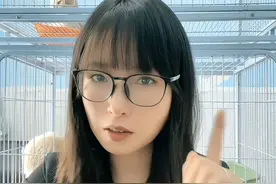 你知道布偶都有哪些品种吗？多少钱一只？说说你那边布偶都...图片