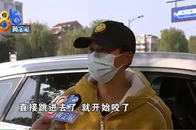 女子牵着狗 男的翻进车子咬人，事情有点“复杂”图片
