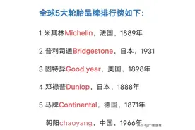 全球5大轮胎品牌排行榜，法国米其林第一，日本二个品牌入榜图片