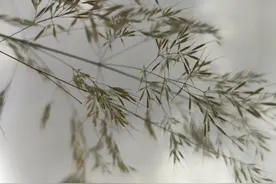 一个人变得喜怒无常，变得暴躁不堪，一定是这个世界对她不美好图片