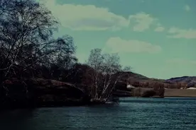 懂你（一首值得回忆的老歌）图片