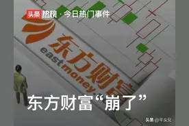 东方财富崩了！散户全程目睹从涨停到跌停，一天喜提20点损失图片