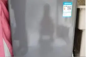 详解小天鹅（LittleSwan）波轮洗衣机全自动 以旧换新TB100FTEC图片