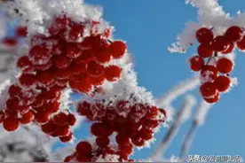 今天立冬，老辈传下来的5个饮食禁忌要牢记，来看看你有没有犯忌图片