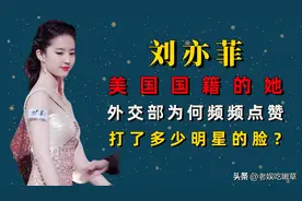 刘亦菲的“清醒”撕开了多少“女明星”的遮羞布图片