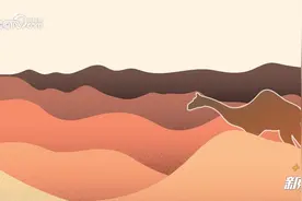 做饭糊弄学 为什么火了？图片