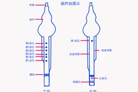 葫芦丝七个孔音都是怎么吹的？如何按？图片