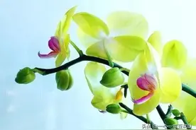 七言诗 挣钱难图片