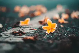 至亲去世，不流泪的人，往往是以下两类人图片