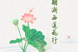 暑期浙西莲花行图片