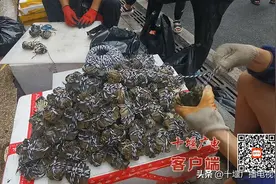 螃蟹“高贵”上市，十堰售价不菲图片