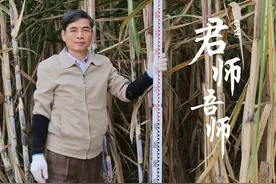 蔗糖团队：保善、保甜、保安全图片