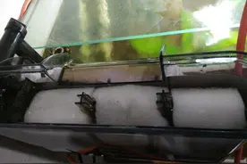 明白物理过滤的道理，鱼缸里的滤棉、滤材，怎么摆放他不是摆呢？图片