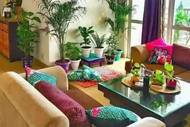 “能镇宅”的6种花，家家都要养一盆，威风又霸气，安全感爆棚！图片