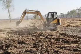 总投资600余万元！武安市河湖绿化工程全部完工图片