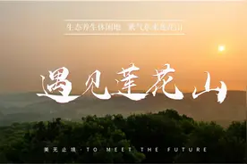 莲花山“疫”线动态①|长春莲花山区发布抗疫动员令！图片