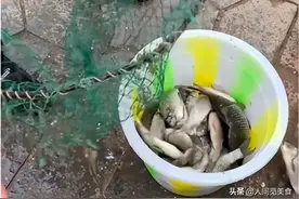 重庆32岁男子天天宅家不工作，网友羡慕不已：这样的日子算我一份图片