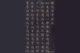 林则徐小楷《佛说无量寿经》，结构严谨值得一看。图片