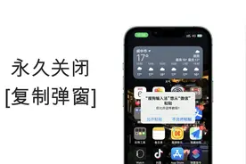 iPhone这个复制弹窗，终于可以永久关闭了图片