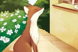 老韩讲了一个故事：咖啡渍狐狸（一）图片