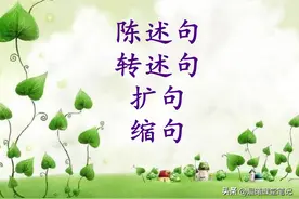 三年级下册语文句子（改陈述句、改转述句、扩句、缩句）专项训练图片