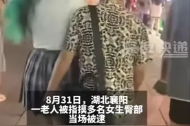 "襄阳古城惊爆丑闻！前书记大爷猥亵事件引众怒，正义何在？"图片