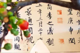 茶谈/TIME丨清明过后，红茶香气怎能错过图片