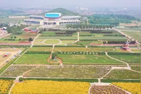 石家庄市鹿泉区：花海添新景 打卡正当时图片