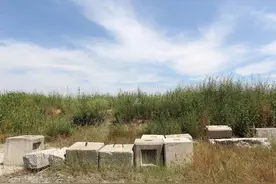 耕地抛荒别再只怨农民，部委领导发话，4类荒地大户要重点惩治图片