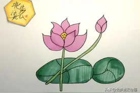 简单易学的荷花简笔画，让孩子轻松掌握绘画技巧，培养绘画兴趣图片