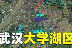 武汉有多宠溺大学生？83所高校不是占山为王就是坐拥湖景图片