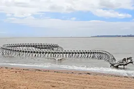 体长超百米！谷歌地图发现“巨蛇骨架”网友怀疑是龙！真相如何？图片