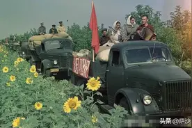 苏联沃野千里人口稀少：为什么要大量进口粮食？萨沙问答第170集图片