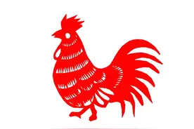 哪个月份出生的生肖鸡最老实？真诚善良，却常常被人欺骗！图片