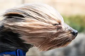 29℃→11℃！气温大反转！短袖和秋裤都用得上……图片