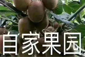 普通人千万不要在快手平台开小店图片