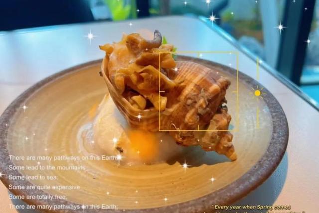 香港的花胶是什么 2026年香港花胶是什么东西