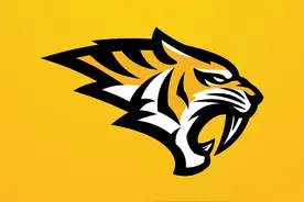 logos：虎啸天下!一组气势昂扬的虎元素标志设计分享图片