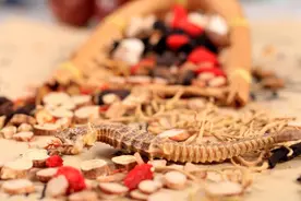 最后一位中医大师张锡纯和他的《医学衷中参西录》图片