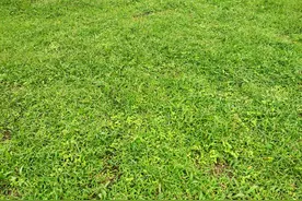 小孩睡觉做梦吓醒，怎么办？图片