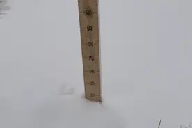 河北下暴雪了！有图有真相！中雪、大雪、中雨、大雨，还要继续图片