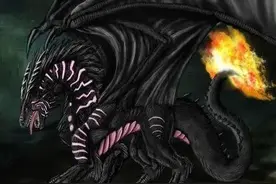 五色龙，谁最强图片