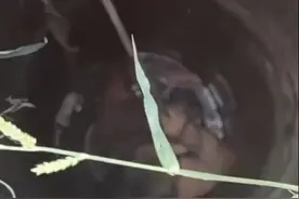 山东济宁 一大娘不慎掉入井内，获救后怕家人担心不去医院图片