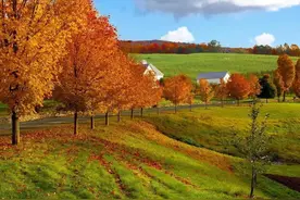 大伯的去世，他用生命的代价告诉我们生活习惯太重要了图片