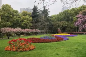 长宁绿建的“老法师”教你这样科学养花→图片