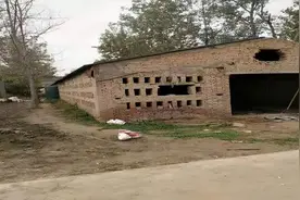 2018年湖北警方走访社区，意外发现养鸡场泥土反常，11人被判死刑图片