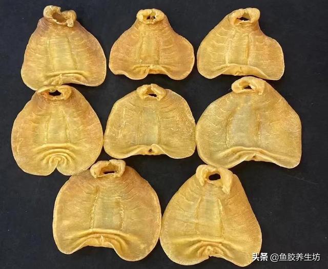 花胶 澳洲 2026年澳洲花胶液有什么好处