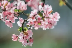 对待恩人，最好的报答原来是这样做图片