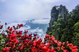 2022中考作文预测：留住最美风景图片