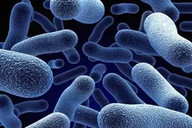 肠癌术后为什么复发转移几率高？这两个主要原因，抓紧时间快解决图片